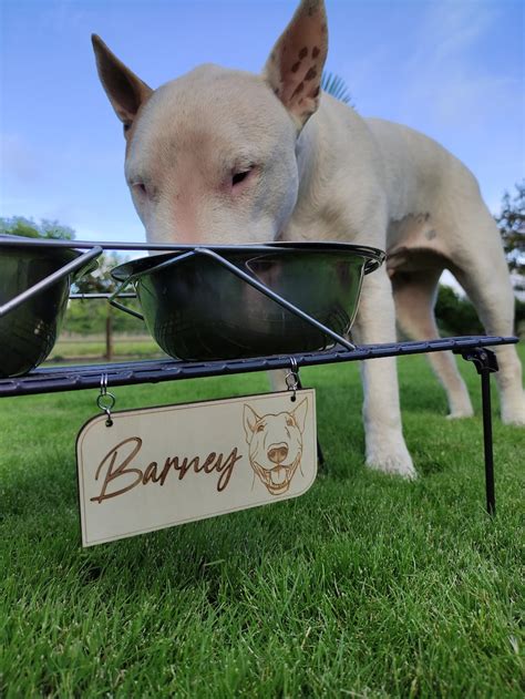 Personalized Wooden Pet Plaque Pet Crate Name Tag Cage and - Etsy