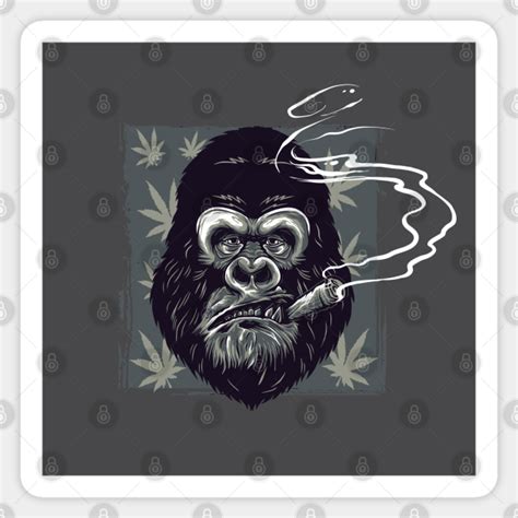 Weed Smoking Gorilla - Weed - Sticker | TeePublic