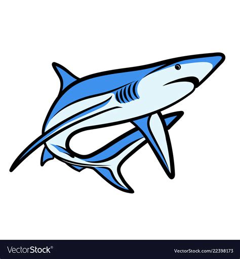 Shark Royalty Free Vector Image - VectorStock