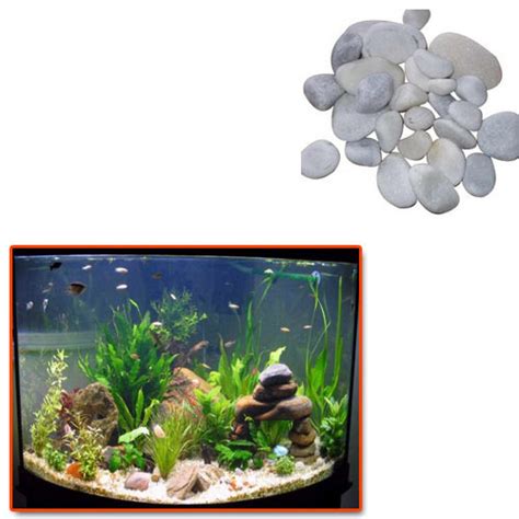 Aquarium Pebbles for Fish Tank at Rs 7/kg | Aquarium Pebbles for Fish ...