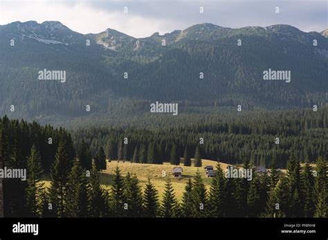 Planaia hi-res stock photography and images - Alamy