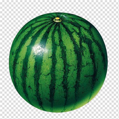 Circle Shape Fruit , watermelon transparent background PNG clipart | HiClipart