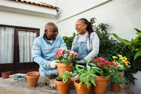 Fall Gardening Tips for Seniors: Embrace Autumn's Beauty | Life Protect 24/7