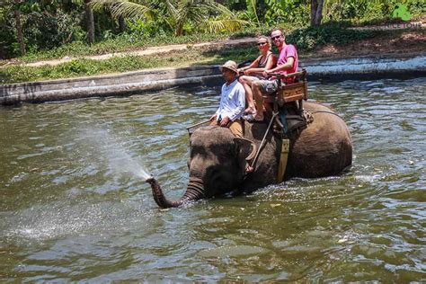 Bali Day Tour | Elephant Ride Bali & Ubud Tour