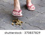 Stepping In Dog Poop Free Stock Photo - Public Domain Pictures