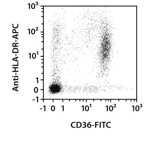 CD36 Antibody, anti-human | Miltenyi Biotec | USA