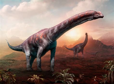 Dinosaur fossils found in Argentina could belong to largest creature ...