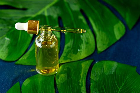 Essential Oils vs. Fragrance Oils: What Are the Differences?