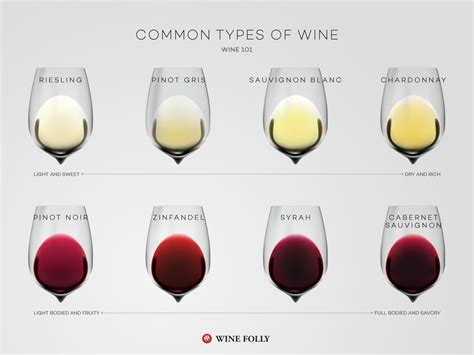 Common Types of Wine (top varieties to know) | Wine Folly