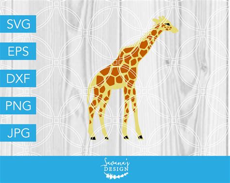 Giraffe SVG Cut File Zoo SVG | Vector Graphics ~ Creative Market