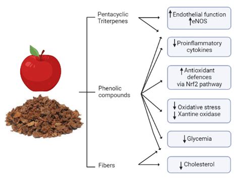 Apple pomace classes of bioactive compounds and their cardio-and... | Download Scientific Diagram