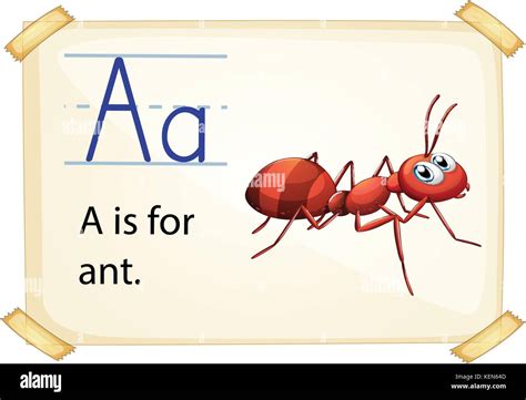 illustration of a flashcard letter A for ant Stock Vector Image & Art - Alamy