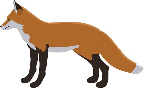 Download Fox, Red Fox, Wild. Royalty-Free Vector Graphic - Pixabay