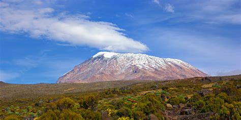 Mount Kilimanjaro National Park | Tanzania Wildlife Destinations