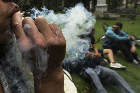 Study: Negative Effects of Marijuana Smoke Linger Longer Than Tobacco Smoke