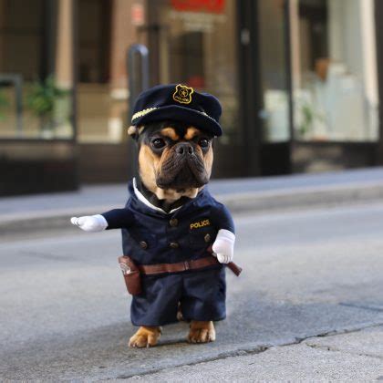 Cute Police Officer Dog Costume - Costume Yeti