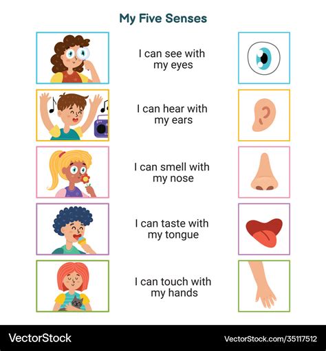 Five Senses For Kids Poster - Debora Milke