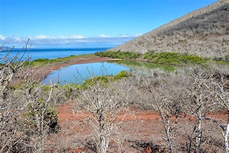 Cruises to the Galapagos Islands February 2023 - GalapagosInformation.com Blog