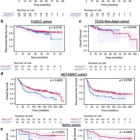 PIK3CA mutation does not predict clinical outcomes |Kaplan-Meier plots... | Download Scientific ...