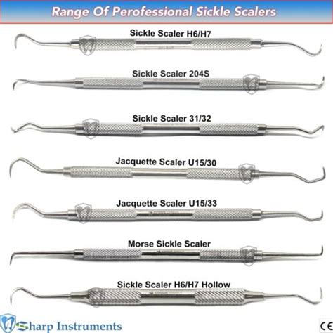 SICKLE SCALERS H6/H7, 204s 31/32 Dental Hygiene Periodontics Hand ...