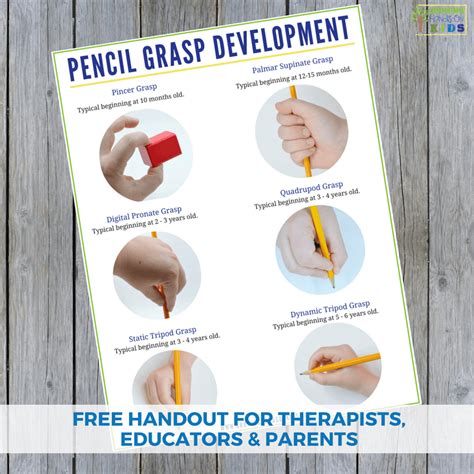 Pencil Grasp Development Handout for Parents, Educators, and Therapists