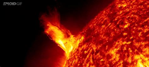 Solar Dynamics Observatory Sun GIF - Find & Share on GIPHY