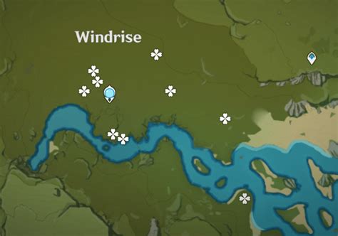 Windwheel Aster Location Guide | Genshin Impact