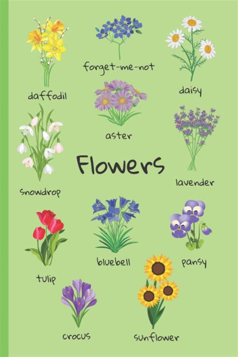 Types Of Flowers With Pictures