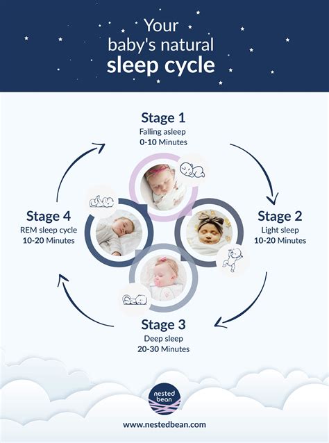 REM Sleep Cycle of Your BabBaby REM Sleep: Discover the Newborn Sleep Cycle Chart That’s Helped ...