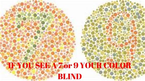 Inspiration 15 of How To Cure Colour Blindness | uch-gvpb1