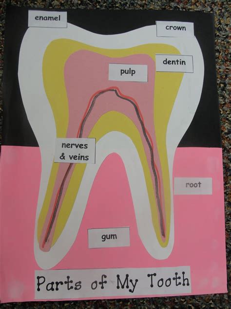 Step into 2nd Grade with Mrs. Lemons: Random... | Dental health week, Dental health activities ...