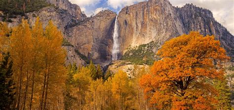 Where to See California's Fall Foliage in Every Region