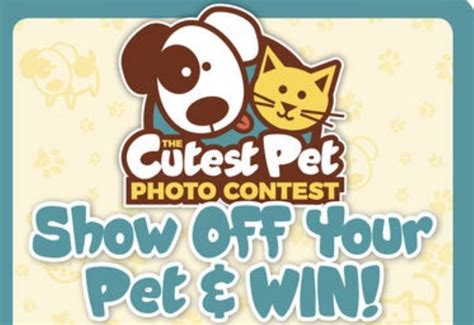 Daytondailynews-Cutest-Pet-Contest | Cute animals, Pet photo contest, Contest