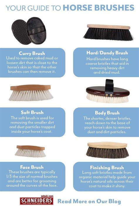 Your Guide to Horse Brushes | Horse brushes, Horse care tips, Horse grooming