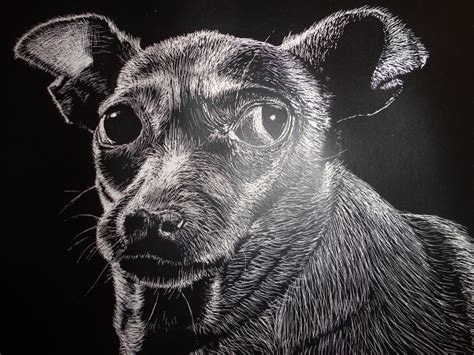 Art Mash: SCRATCHBOARD