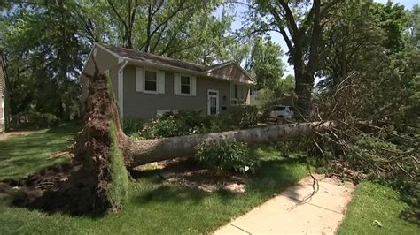 Straight-Line Winds Likely Caused Suburban Chicago Storm Damage: Officials – NBC Chicago