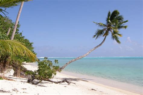 5 Best beaches in Huahine island, French Polynesia - Ultimate guide (December 2024)