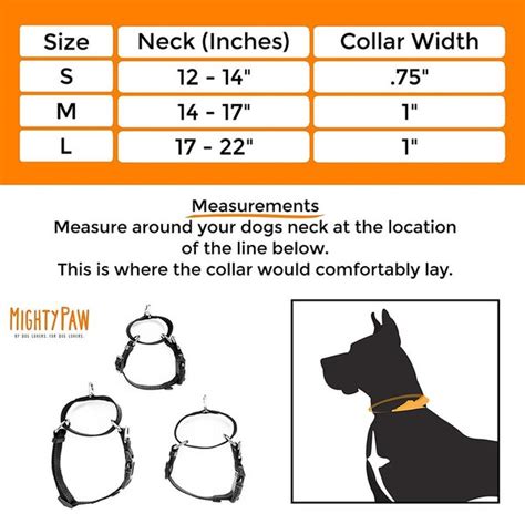 Nylon Martingale Collar | Dogly