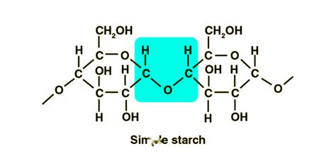 Starch: Diagram, Structure, Features and Commercial Uses