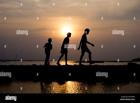 Silhouette group of child walking at sunset on the beach Stock Photo - Alamy