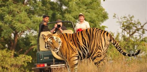 Safari Opened in Bardiya National Park - Wonders of Nepal