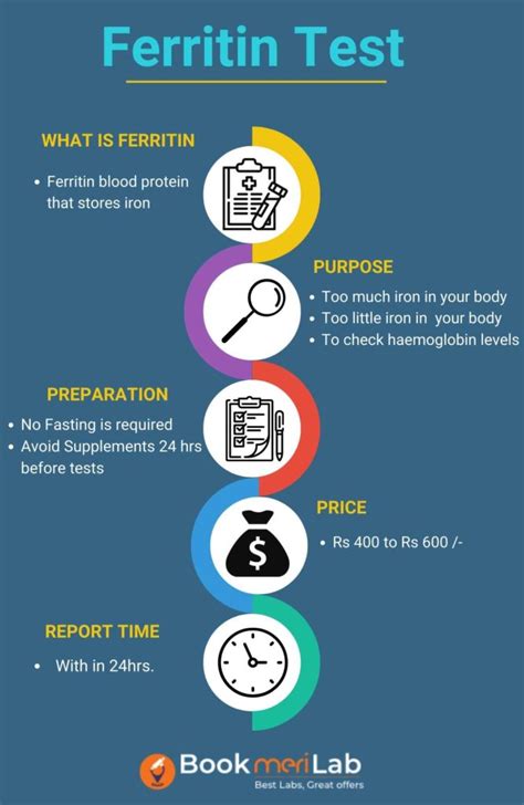 Ferritin Test Price, Purpose, Result & Range [2025] • Bookmerilab