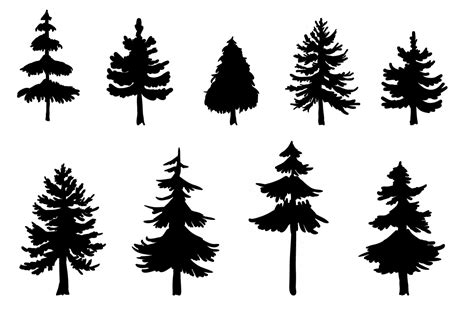 Fir Tree Silhouette Vector at Vectorified.com | Collection of Fir Tree Silhouette Vector free ...