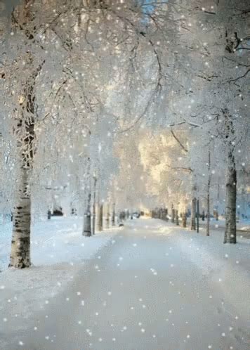 Snowing Winter GIF - Snowing Winter Snow - Discover & Share GIFs