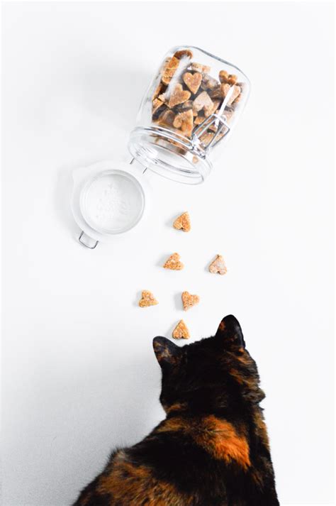 Homemade chicken treats for cats and dogs