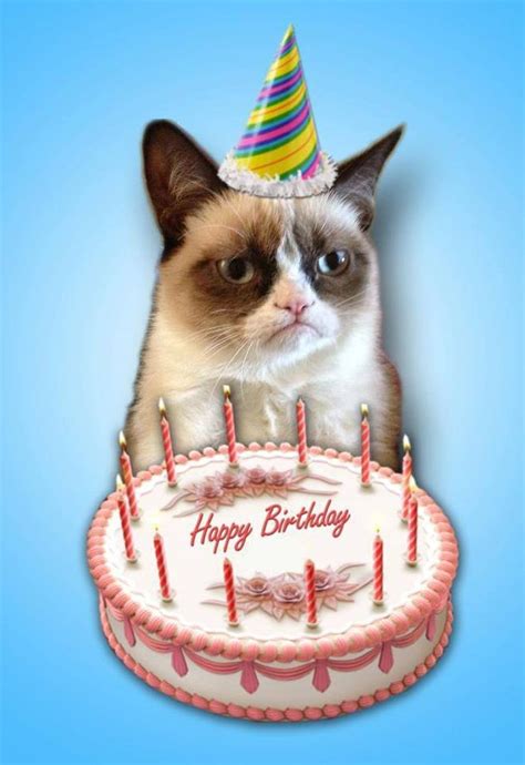 Pin by Andreea Stănescu on cards. | Cat birthday card, Funny happy ...