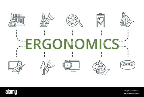 Ergonomics set icon. Editable icons ergonomics theme such as human genome, biochemistry ...