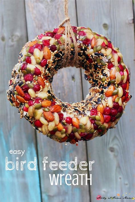 Bird Feeder Wreath | AllFreeKidsCrafts.com