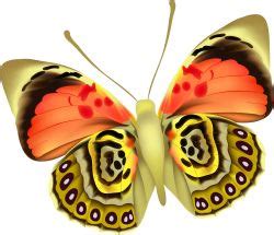 Colorful Moth clip art