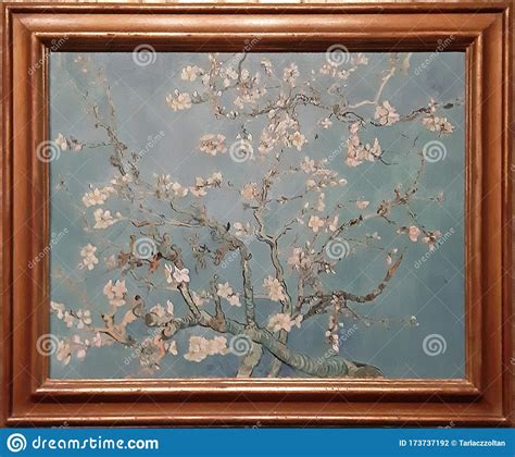 Photo of the Famous Original Painting: `Almond Blossom` by Vincent Van Gogh Editorial ...